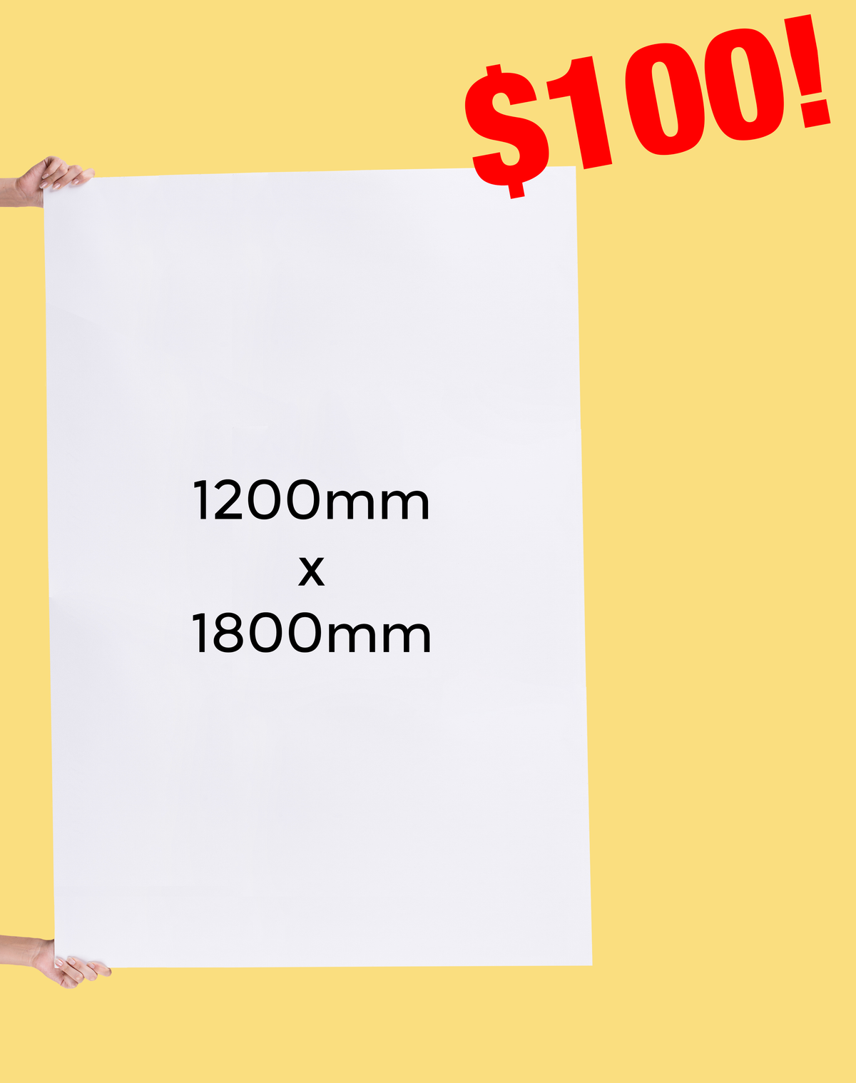1200x1800mm corflute